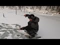 &quot;ЗАТОПЛЕННЫЙ ЛЕС&quot; ЛОВЛЯ ФОРЕЛИ И КУМЖИ / &quot;FLOOD FOREST&quot; TROUT AND TROUT FISHING