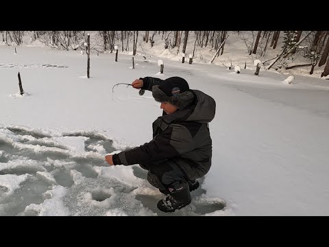 Видео: 