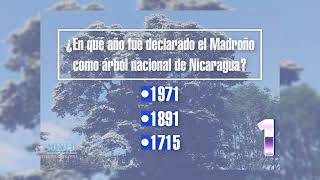 Trivias Nicaragüenses - El Madroño