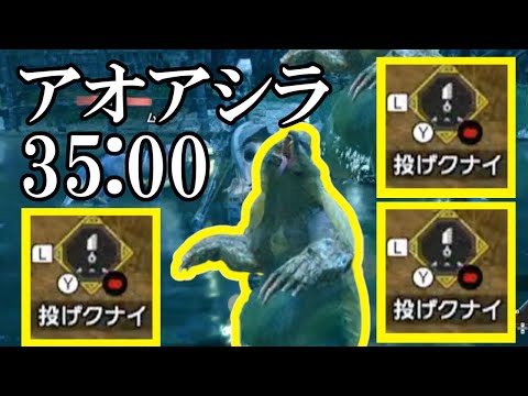 【MHRise】アオアシラ 投げクナイソロ 35：00 タイムアタック 体験版