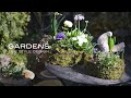 GARDENS 春の芽出し球根を使った寄せ植え２選 【ガーデンズ】