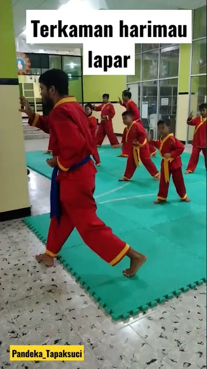 latihan dasar Terkaman harimau lapar #shorts #tapaksuciputeramuhammadiyah