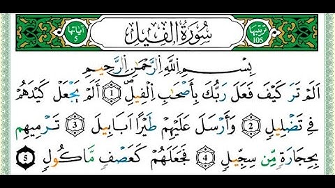105 سورة الفيل مكتوبة برواية ورش - الشيخ العيون الكوشي