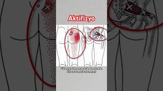 Kalça Ağrınız Varsa Hemen Deneyin