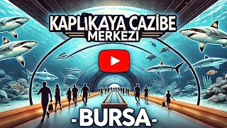 Kaplikaya Cazi̇be Merkezi̇ ~ Bursa