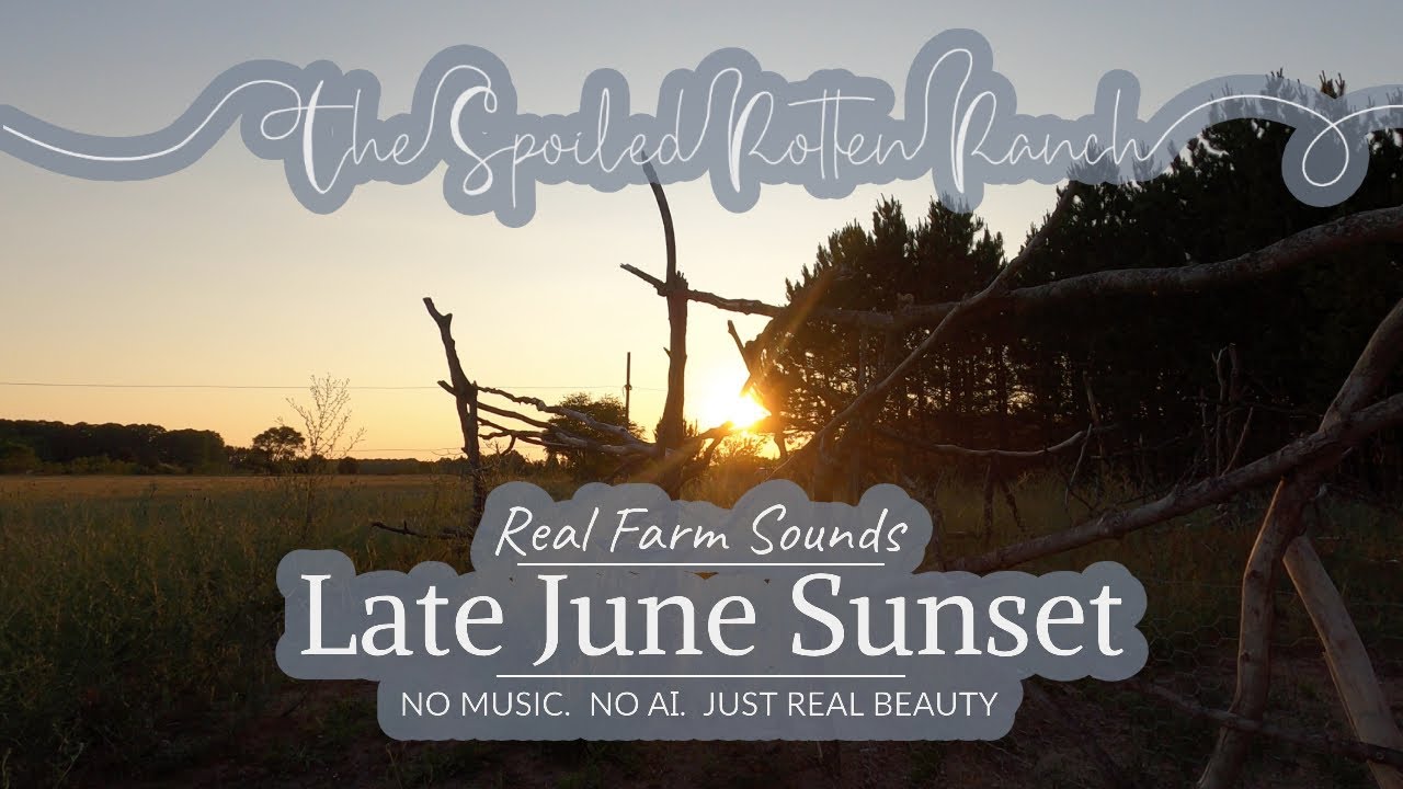 30 Minutes Cinematic Rustic Country Relaxing Sunset | Ambient White Noise Nature Sounds