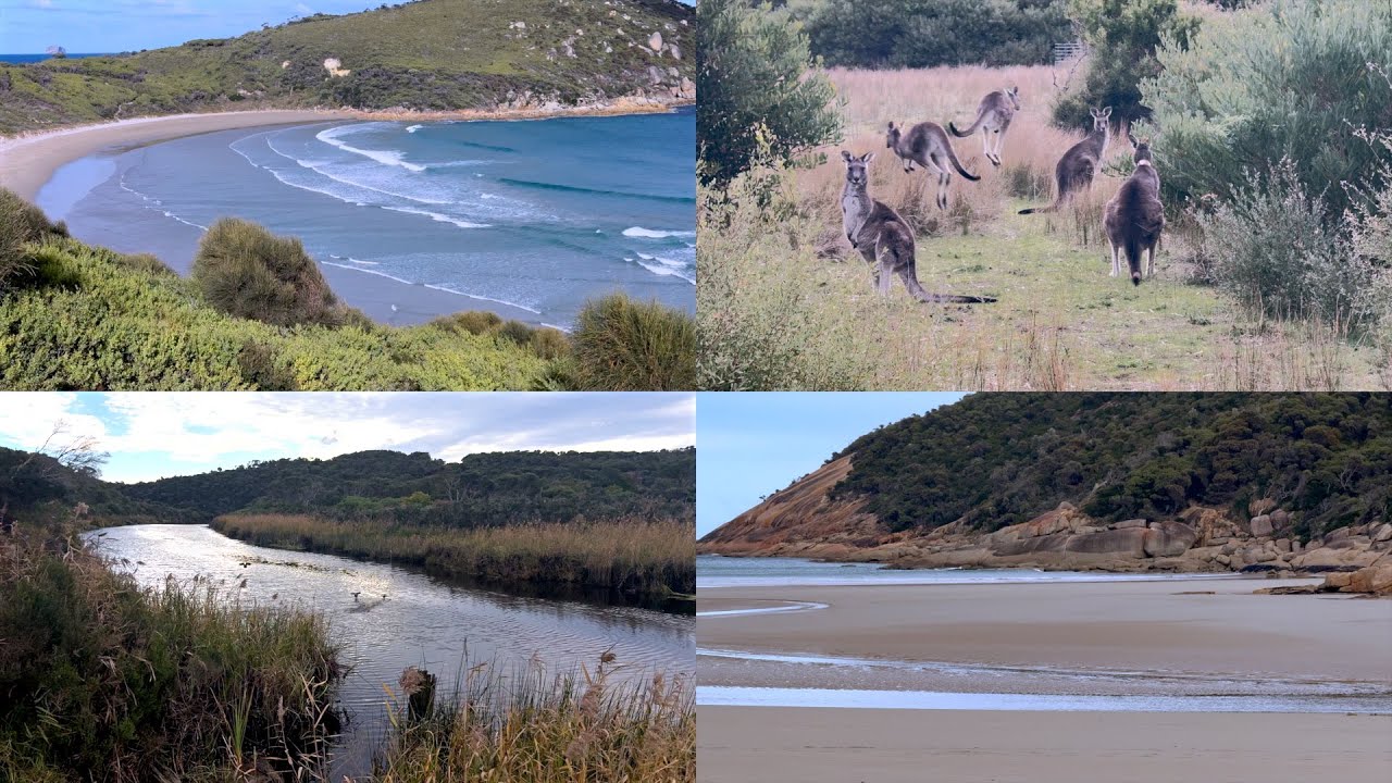 Day 69 -  Wilsons Promontory National Park