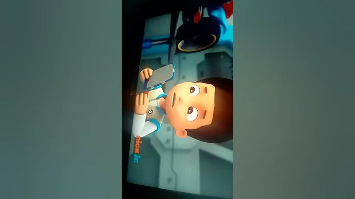 Paw patrol