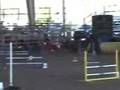 Phoenix Arizona Dog Training with Toni Drugmand Dog Trainer Phoenix Arizona Dog Training with Toni Drugmand Dog Trainer