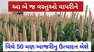 આ બે વસ્તુઓ વાપરતા જ વિઘે 50 મણ બાજરો ઉતર્યો | Millet farming | bajara nu vavetar | khedutnikheti |