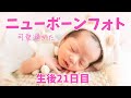 【生後3週間】人生1度きりのニューボーンフォトに挑戦したら可愛すぎ!気になることも聞いてみた!【21日目・40歳・アラフォー出産】