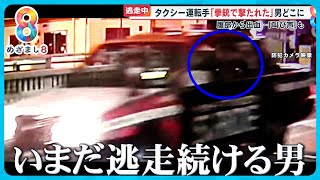 【発生から33時間】容疑者いまだ逃走中 川口市タクシー運転手銃撃事件【めざまし８ニュース】 by めざまし8チャンネル 21,234 views 2 days ago 19 minutes