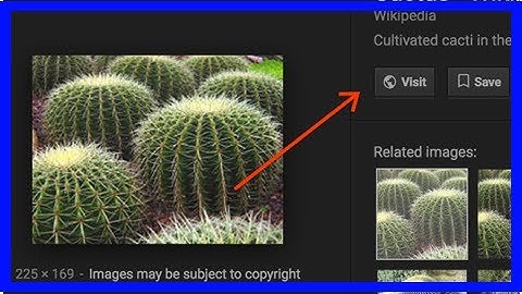 Google removes View Image from results, part of Getty settlement
