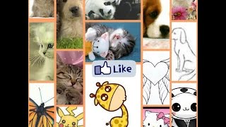 Милые картинки животных.💜✔ Милые картинки животных.💜✔