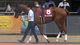 アートハウス の競走馬情報 Pog Info