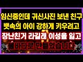 [역대급 사이다 사연] 임신중인데 이상한 사진 보낸 친구 장난친거라길래 이성을 잃고 불바다로 만들었습니다 사연모음 이혼썰 네이트판 레전드 사연라디오 결시친 실화사연