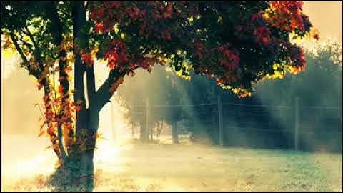 ❤صوت يريح الاعصاب ويهدي القلوب❤ روائع التلاوات القارئ يوسف الصقير