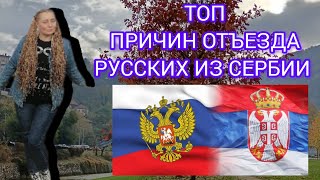 картинка: 102💞#Настоящая жизнь в Сербии в 2023 году. Осень в УЖИЦЕ. Русские не хотят жить в Сербии почему?