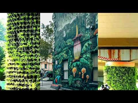 Video: Vertical Gardening And Beautification