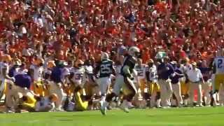 Auburn Tigers Highlights-LSU 2010