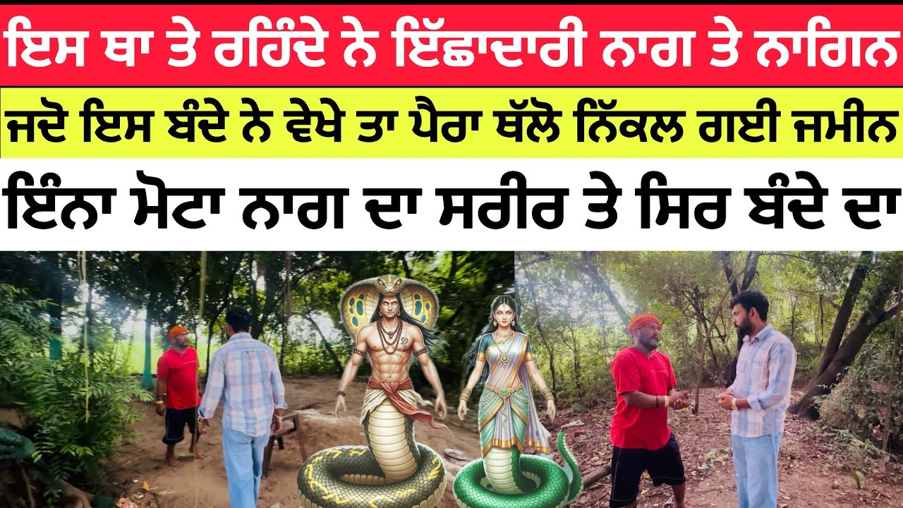 ਇਸ ਥਾ ਤੇ ਰਹਿੰਦੇ ਨੇ ਇੱਛਾਦਾਰੀ ਨਾਗ ਤੇ ਨਾਗਿਨ | Ichhadari naag and nagin place
