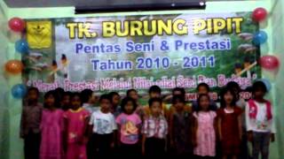 tk burung pipit