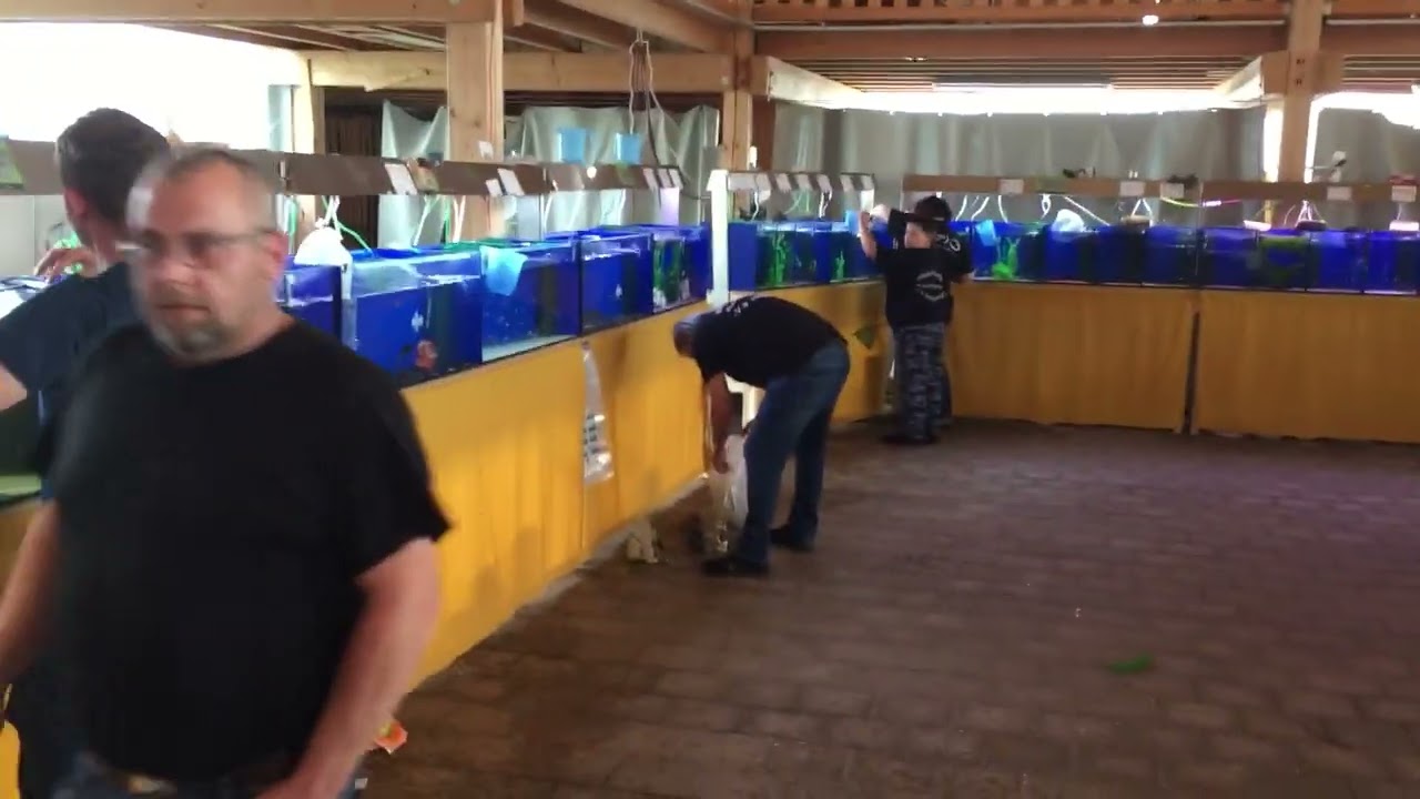 Besuch der 40. Fischbörse der Aqua Freunde Dürrwangen