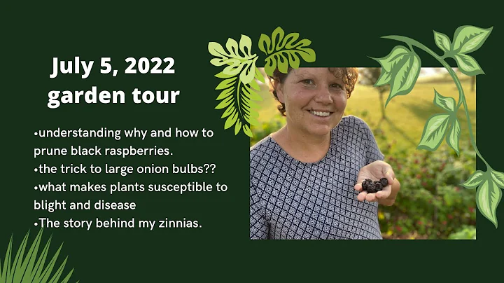 RuthAnn's July 5 garden tour