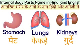 Internal Body Parts Name in Hindi and English || Load Gyan