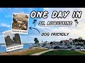 How to spend one day in st augustine fl  travel vlog epi 15  fountain of youth  dog friendly