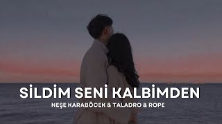 Neşe Karaböcek ft. Taladro & Rope - Sildim Seni Kalbimden (mix) Resimi