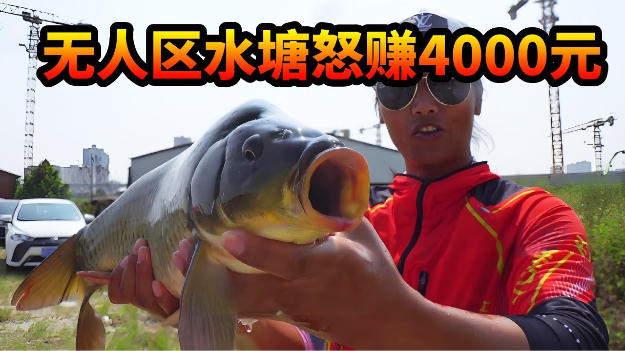 耗巨资包下近三千无人区水塘， 石斑鲈鱼四处游窜 ，鱼货怒赚四千四#钓鱼 #游钓黑坑疯子 #黑坑