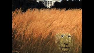 White Lion-Little Fighter