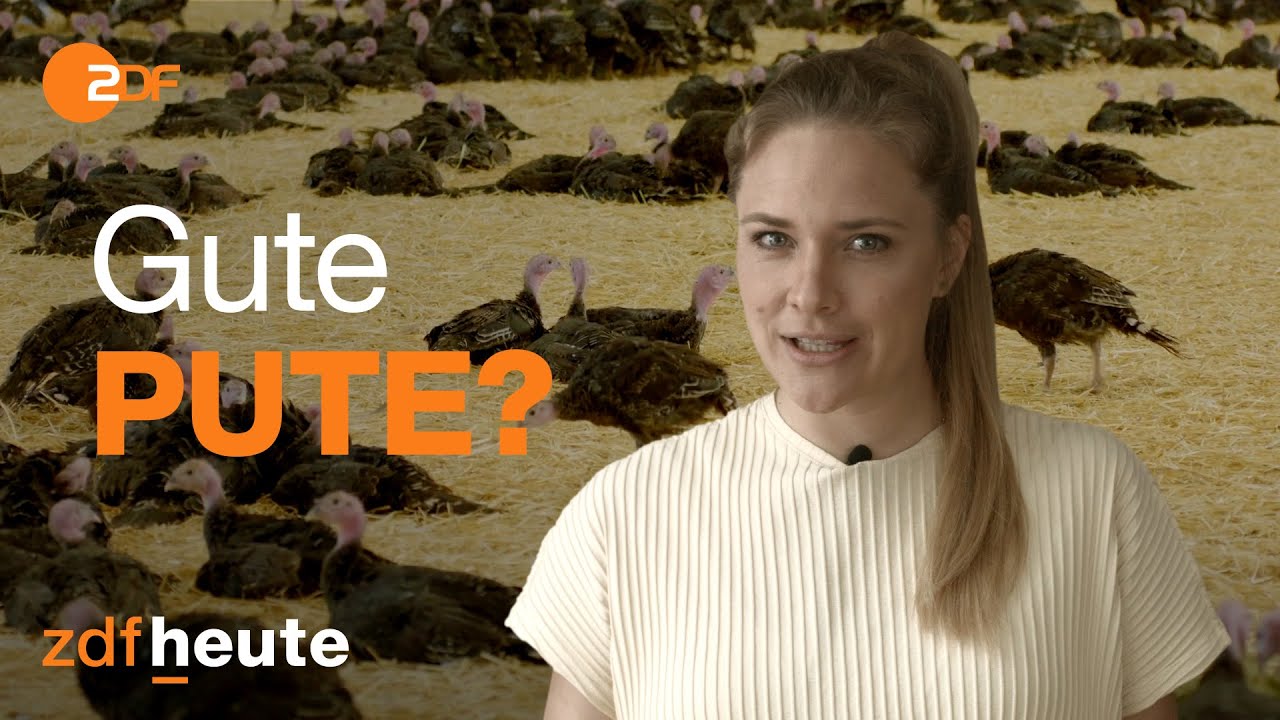 Putenfleisch: Warum auch bio nicht ganz optimal ist