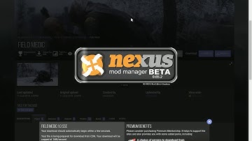 SKYRIM SE how to Turn small esp