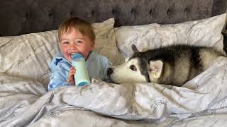 Husky Refuses To Get Out Of Baby’s Bed Then Falls Asleep Cuddling Him!!