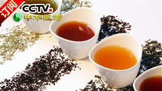 [Chinese Medicine] 20160815 | CCTV-4