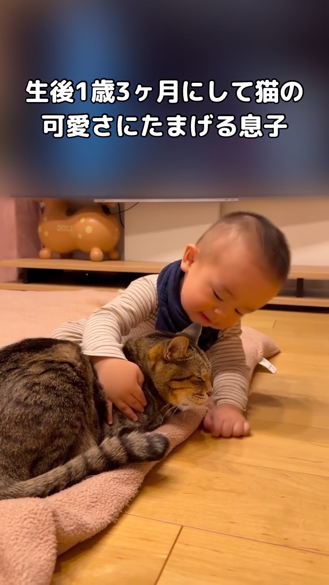 My son, who was quick to realize how cute cats are at just 1 year