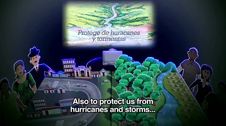 Adapting to climate change: people and ecosystems - 天天要聞