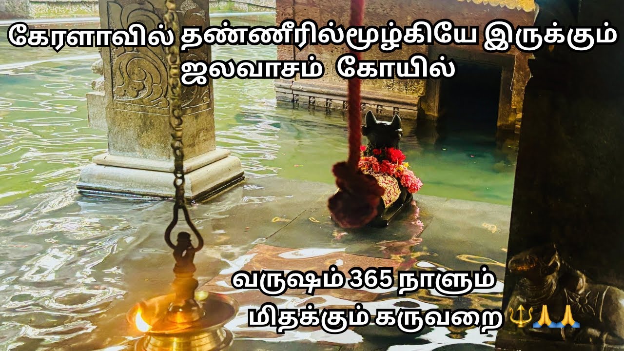 சிவனை வணங்குறவங்க வாழ்வில் ஒரு முறையாவது போக வேண்டிய கோயில்🔱🙏🙏🙏#siva#kerala#travel#tour#tamil#temple