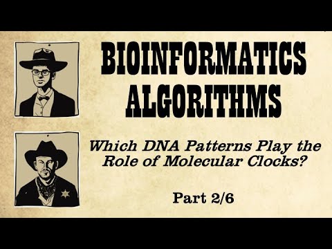 From Implanted Patterns to Regulatory Motifs (Part 2)