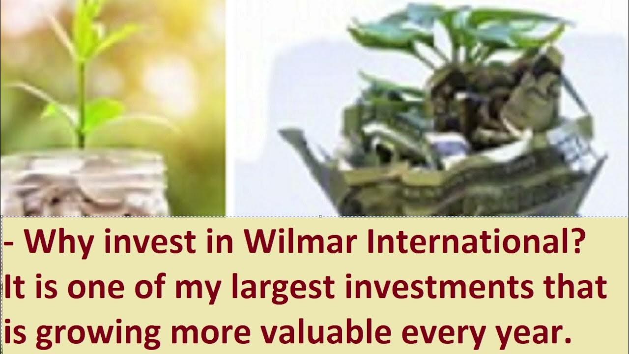 Why invest in Wilmar International? It is a large investment for me