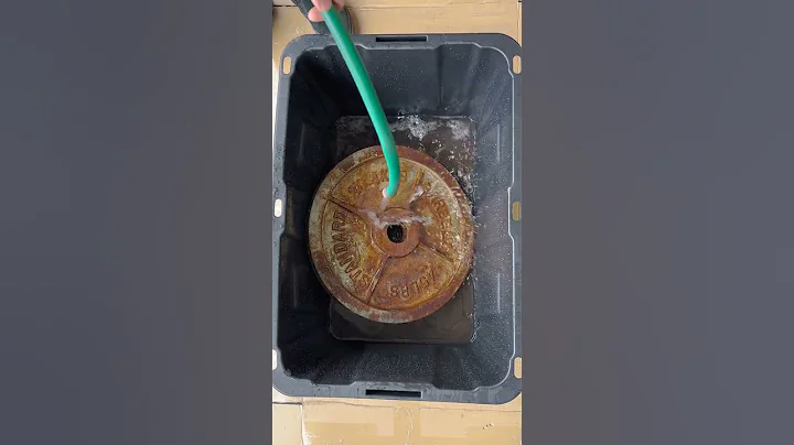 Does cleaning a weight plate change the weight? How much?