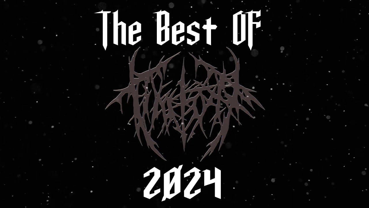 2024 HIGHLIGHT REEL - epic and funny moments