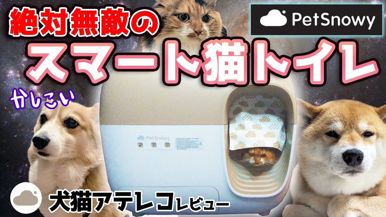 Dog and cat voiceover] The smart cat litter box PetSnowy has