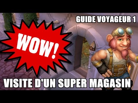 UN MAGASIN DE JOUET MYSTERIEUX ET UNE FILLE GROS BOOBS SPOTTED / WOW guide du voyageur 1