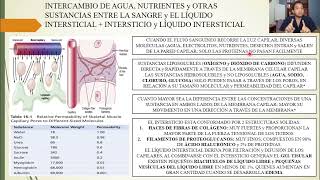 PHYSIOLOGY: MICROCIRCULATION and LYMPHATIC SYSTEM: CAPILLARY AND INTERSTITIAL FLUID EXCHANGE, FLOW