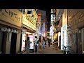 Night Adventure in Tokyo's Shinjuku and Kabukichō the largest red-light district