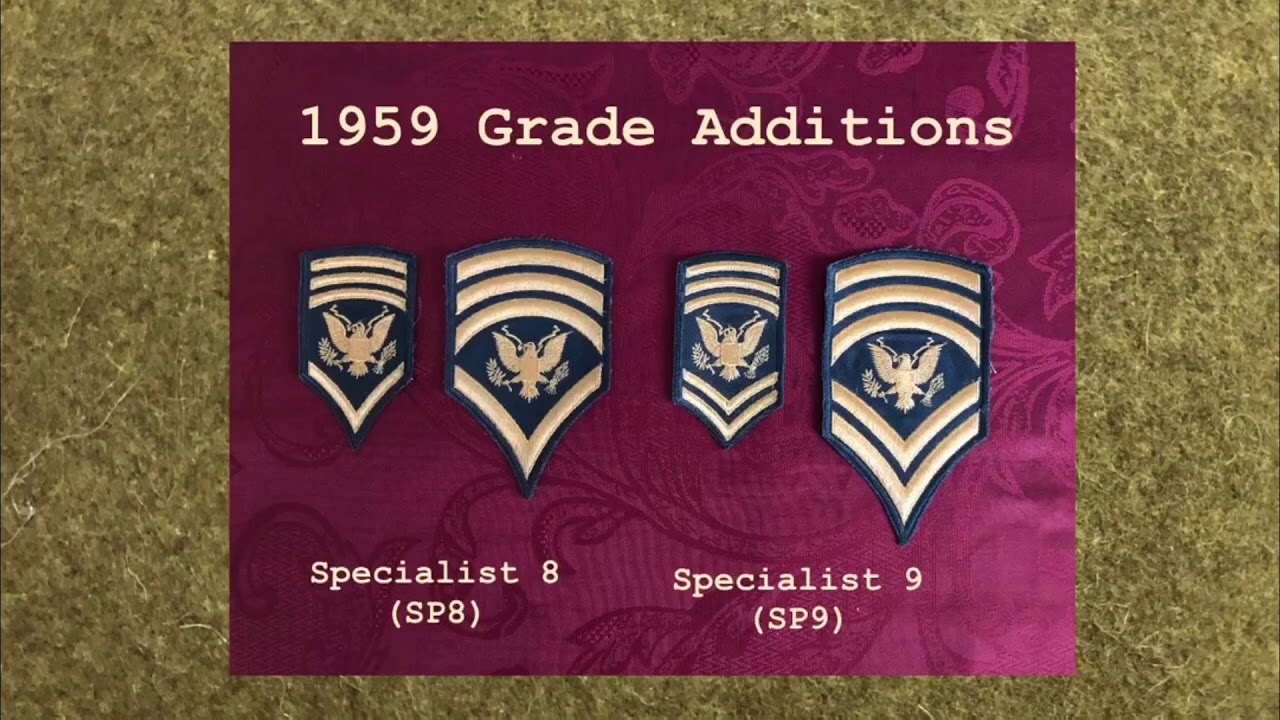 US Army Specialist Insignia of Grade a Brief History YouTube