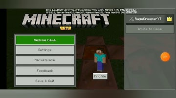 Can totem Of undying survived on lava?....